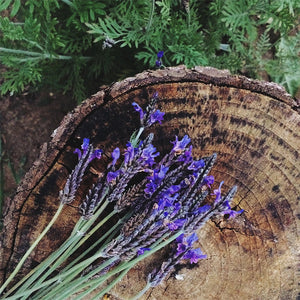 Ingredient Image 1