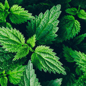 Ingredient Image 1